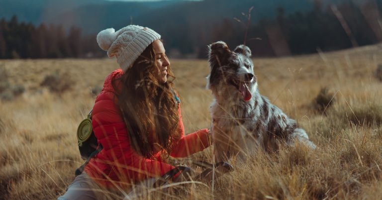 Traveling with Pets: How CBD Can Make the Journey Smoother for Your Furry Friends